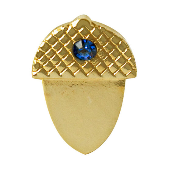 golden acorn with blue stone lapel pin