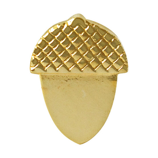 golden acorn lapel pin