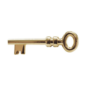 gold key to success lapel pin